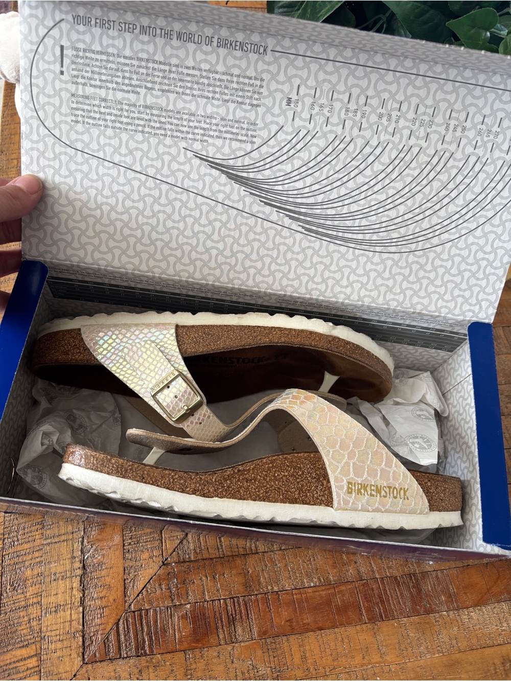 Birkenstock Iridescent Pearl Gizeh Thong Sandal - Picture 4 of 9